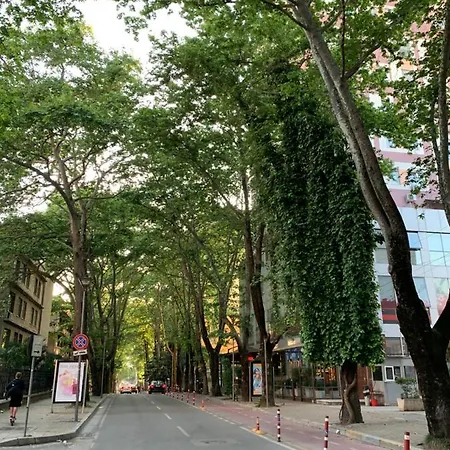 Haris No.3 * 티라나